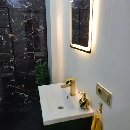 公寓 Casa Fiesta 托雷维耶哈