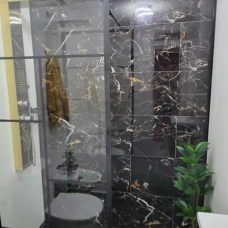 Casa Fiesta 托雷维耶哈